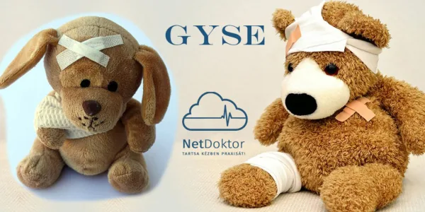 GYSE felírás az új rendszerben
